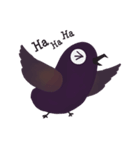 Stupid Birds（個別スタンプ：3）