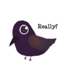 Stupid Birds（個別スタンプ：7）