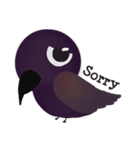 Stupid Birds（個別スタンプ：17）