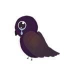 Stupid Birds（個別スタンプ：18）