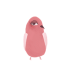 Stupid Birds（個別スタンプ：28）