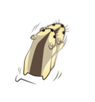 mo mo rat（個別スタンプ：13）