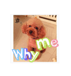 Zu is a lovely puddle 2（個別スタンプ：5）