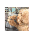 Zu is a lovely puddle 2（個別スタンプ：9）