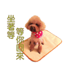 Zu is a lovely puddle 2（個別スタンプ：10）
