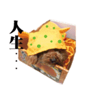 Zu is a lovely puddle 2（個別スタンプ：12）