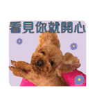 Zu is a lovely puddle 2（個別スタンプ：13）