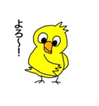 Cute-Bird-01（個別スタンプ：1）