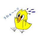Cute-Bird-01（個別スタンプ：13）