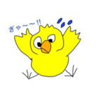 Cute-Bird-01（個別スタンプ：22）