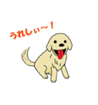 あんちゃんと僕 2（個別スタンプ：6）