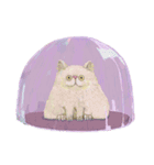 introvert telepathy（個別スタンプ：1）