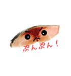 しめ鯖君(基本)（個別スタンプ：1）