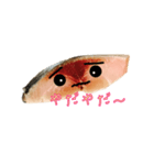 しめ鯖君(基本)（個別スタンプ：5）