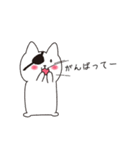 ねこぱっち4（よく褒める）（個別スタンプ：12）