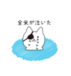 ねこぱっち4（よく褒める）（個別スタンプ：14）