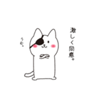 ねこぱっち4（よく褒める）（個別スタンプ：28）