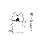 ねこぱっち4（よく褒める）（個別スタンプ：38）