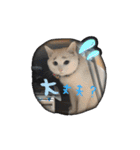 にぎやか家族（個別スタンプ：1）