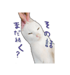 にぎやか家族（個別スタンプ：3）