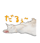 にぎやか家族（個別スタンプ：4）