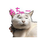 にぎやか家族（個別スタンプ：8）
