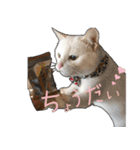にぎやか家族（個別スタンプ：9）