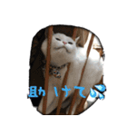 にぎやか家族（個別スタンプ：10）
