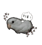 にぎやか家族（個別スタンプ：13）