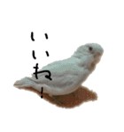にぎやか家族（個別スタンプ：14）