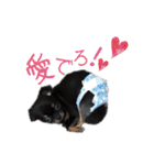 にぎやか家族（個別スタンプ：34）