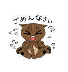 猫3びき〜日常〜（個別スタンプ：36）