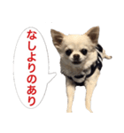 サンキューおっさんとゆかいな仲間達 26（個別スタンプ：30）