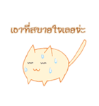 survey cat（個別スタンプ：3）