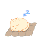 survey cat（個別スタンプ：6）