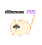 survey cat（個別スタンプ：8）