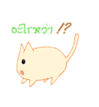 survey cat（個別スタンプ：12）