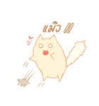 survey cat（個別スタンプ：13）