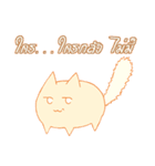 survey cat（個別スタンプ：14）
