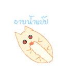 survey cat（個別スタンプ：16）