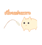 survey cat（個別スタンプ：17）