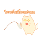 survey cat（個別スタンプ：18）
