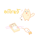 survey cat（個別スタンプ：21）