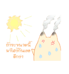 survey cat（個別スタンプ：23）