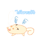 survey cat（個別スタンプ：24）