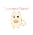 survey cat（個別スタンプ：25）