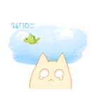 survey cat（個別スタンプ：31）
