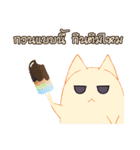 survey cat（個別スタンプ：32）