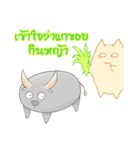 survey cat（個別スタンプ：36）