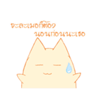 survey cat（個別スタンプ：38）